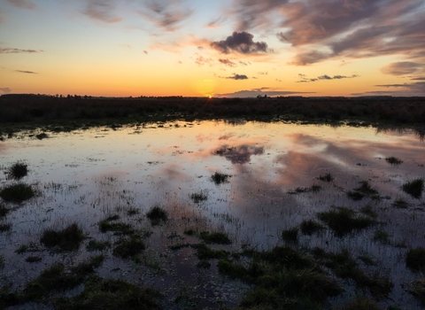 Sunset on the Great Fen