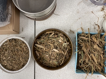 Two round bowls and a rectangle tray filled with brown broken fragments of typha stems