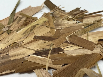 Pieces of typha leaves and stalk pressed flat and stuck together