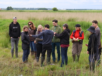 A group of 11 adults stand in a field of tall grasses looking at something one man presents, one lady takes a photo with a phone