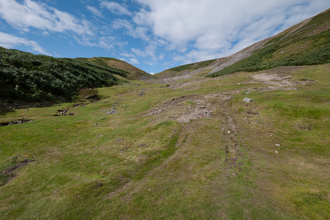 Calaminarian grassland