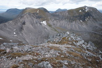 Scree on rocky habitat