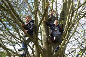 Three boys sitting in a tree