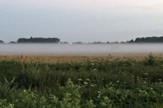 Landscape image of flat land with tree line horizon and mist hanging over the land