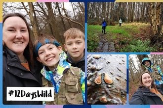 A collage of images showing a Mum and two boys in woodland and smiling to camera