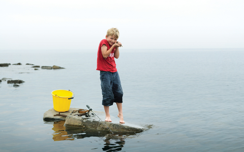 Archie stands on a rock in the sea with a bucket