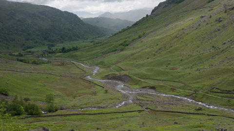 Upland acid grassland and rush pasture