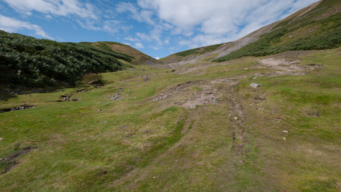 Calaminarian grassland