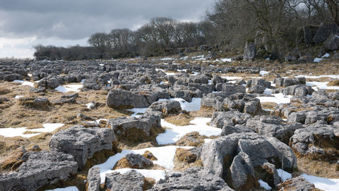 Limestone pavement