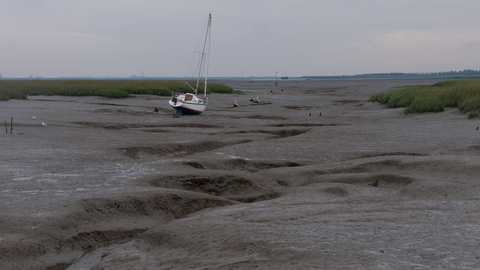 Mudflat