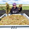 Lorna Parker stand behind a container of sphagnum moss, holding handfuls and smiling to camera