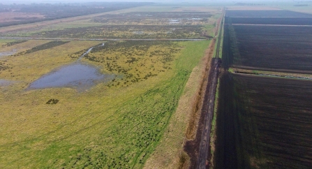 Habitat restoration at the Great Fen