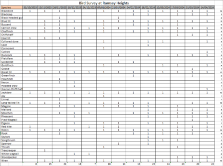 An Excel spreadsheet showing which birds were recorded on each survey 