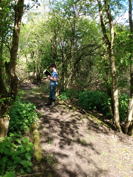 Nathanial stands on a path in a sunny woodland recording bird sightings