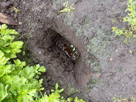 A small rectangular hole in a field showing the water level