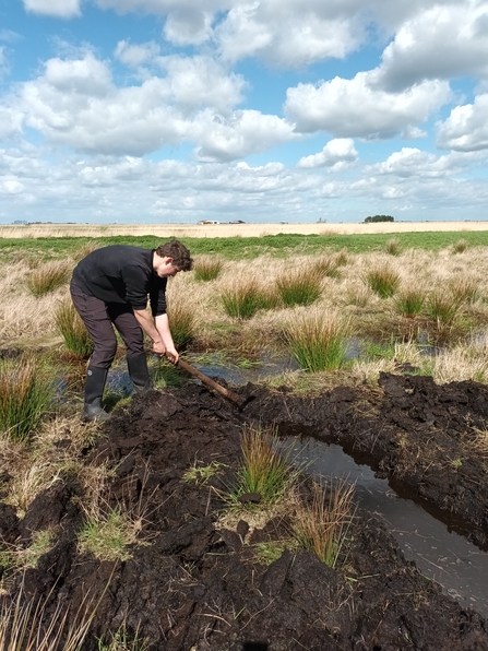 Young man uses a pick axe to dig a water channel in peat field