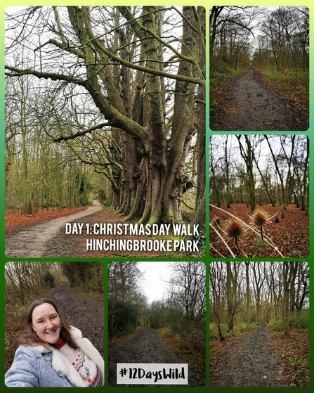 A collage of images showing woodland and a lady taking a selfie