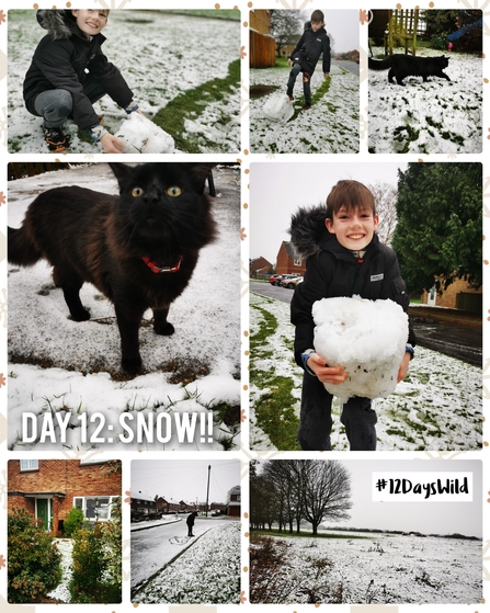 A collage of images showing child and black cat in a snowy garden