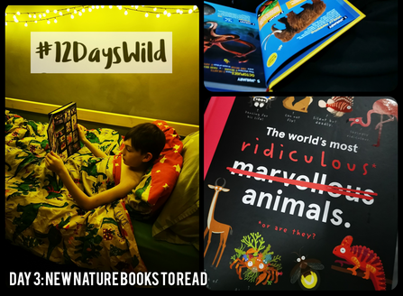 A collage of images showing 12 Days Wild logo, child in bed reading and books