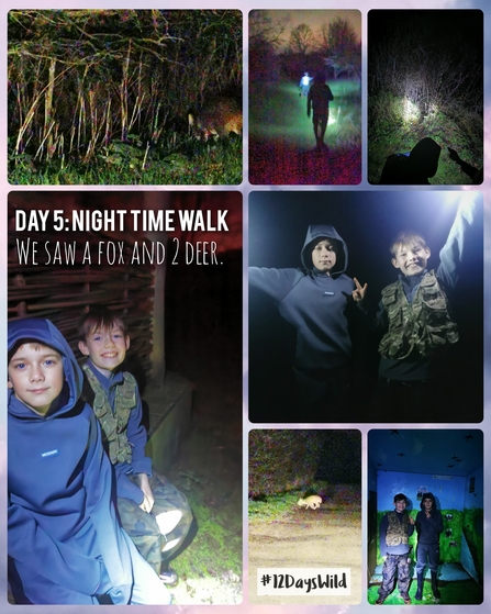 A collage of images showing 12 Days Wild logo, children on night safari with torches