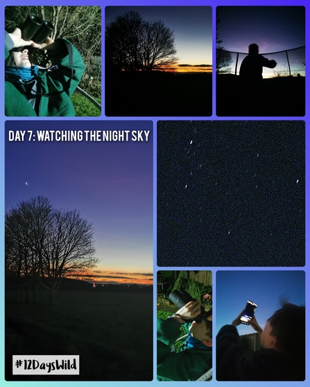 A collage of images showing 12 Days Wild logo, night sky and child stargazing with binoculars