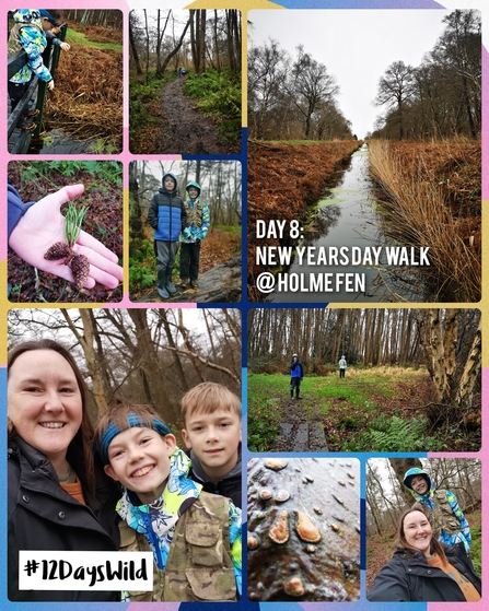 A collage of images showing 12 Days Wild logo, lady and two boys exploring woodland