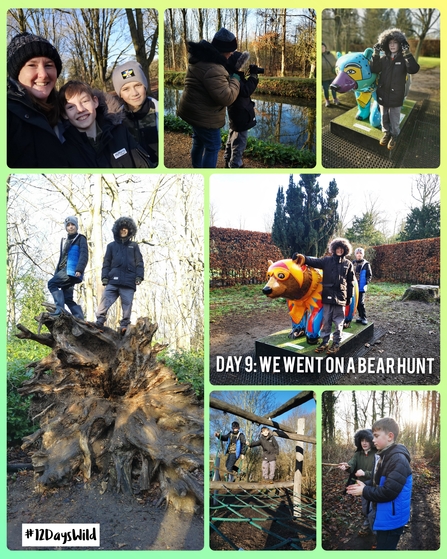 A collage of images of children exploring woodlands and bear sculptures