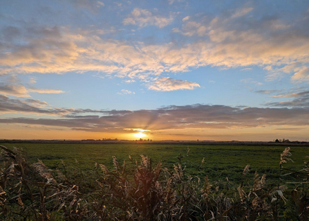 the sun sets through low clouds in a blue sky, flat green fields beneath