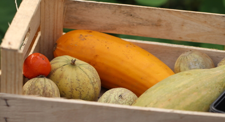 Wooden basket of mixed squash