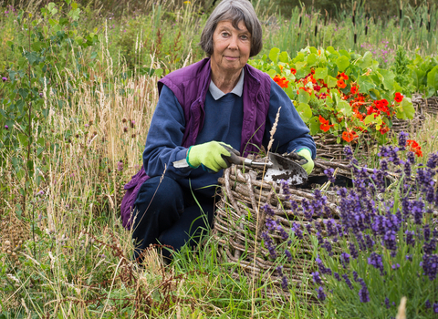 Carol gardening as a volunteer