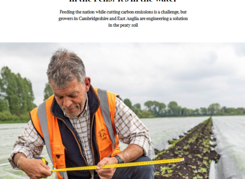 Screenshot of the Times Article header image, a farmer kneeling in a field holding a tape measure